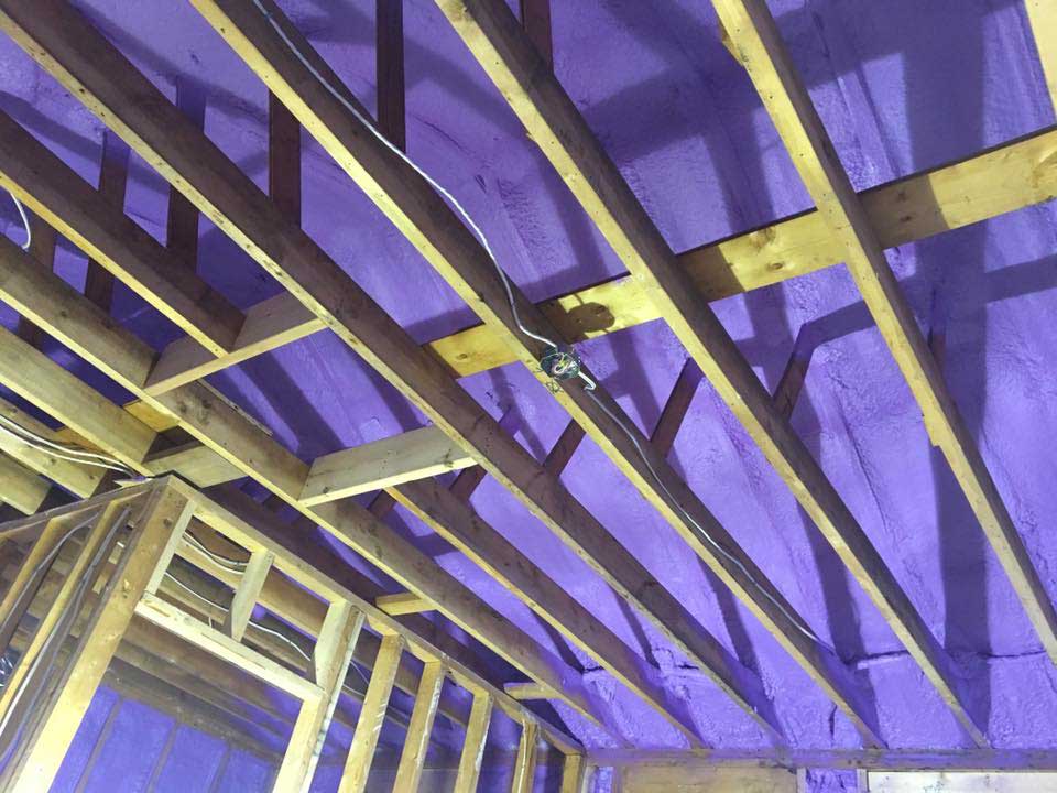 looking up at wooden framing and purple spray foam insulation inside house