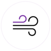 purple and black wind icon