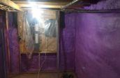 purple spray foam insulation covering walls of basement